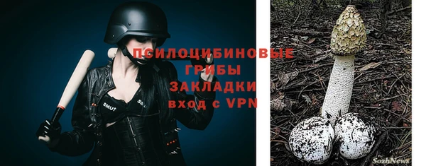 mdpv Горняк